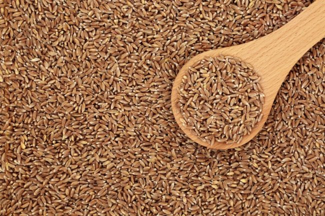 Emmer farro grains