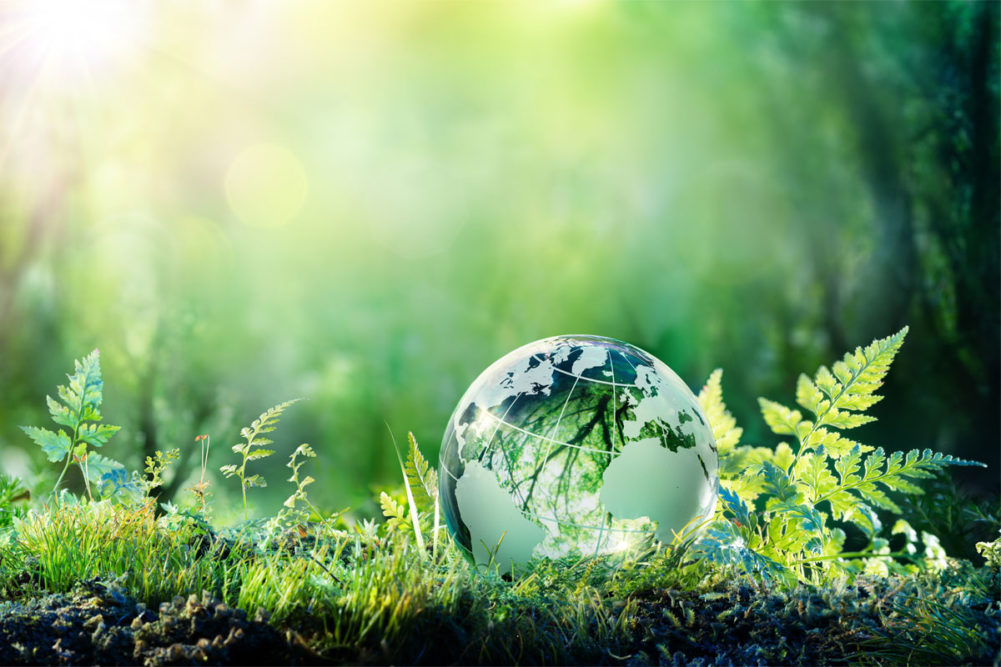 Globe on a moss forest floor