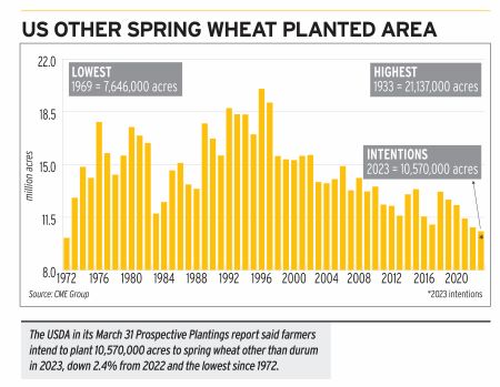 Spring wheat planted area